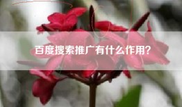 百度搜索推广有什么作用？