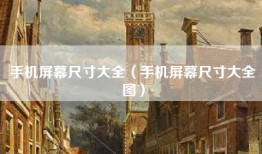 手机屏幕尺寸大全（手机屏幕尺寸大全图）