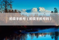 拍卖手机号（拍卖手机号码）
