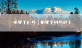 拍卖手机号（拍卖手机号码）