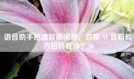 语音助手抢滩智能家居，百度 AI 音箱能否扭转乾坤？30