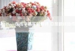 PotPlayer在线字幕实时翻译 百度翻译插件