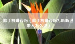 修手机赚钱吗（修手机赚钱吗？听听过来人怎么说）