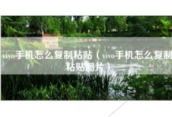 vivo手机怎么复制粘贴（vivo手机怎么复制粘贴图片）