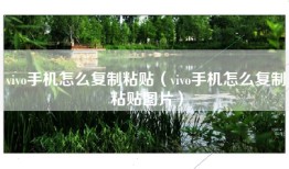 vivo手机怎么复制粘贴（vivo手机怎么复制粘贴图片）