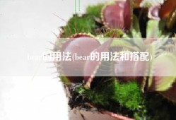 bear的用法(bear的用法和搭配)