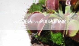 bear的用法(bear的用法和搭配)