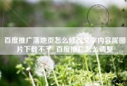 百度推广落地页怎么修改文字内容呢图片下载不了_百度推广怎么调整