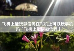 飞机上能玩微信吗在飞机上可以玩手机吗「飞机上能玩微信吗」