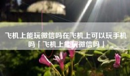 飞机上能玩微信吗在飞机上可以玩手机吗「飞机上能玩微信吗」