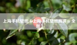 上海手机壁纸（上海手机壁纸高清4k 全屏）