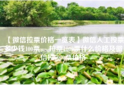 【微信拉票价格一览表】微信人工投票多少钱100票， 拉票1000票什么价格及微信投5000票价格