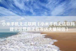 小米手机无法联网（小米手机无法联网 提示运营商正在发送大量短信）