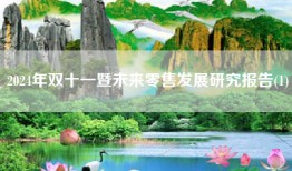 2024年双十一暨未来零售发展研究报告(1)