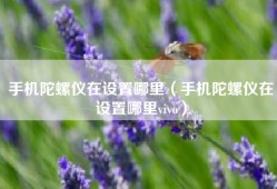 手机陀螺仪在设置哪里（手机陀螺仪在设置哪里vivo）
