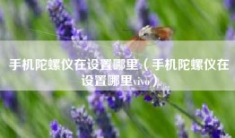 手机陀螺仪在设置哪里（手机陀螺仪在设置哪里vivo）