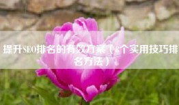 提升SEO排名的有效方案（8个实用技巧排名方法）