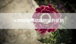 H5网站和移动端网站的区别