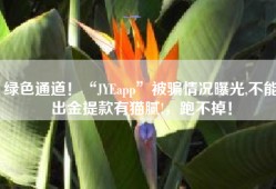 绿色通道！“JYEapp”被骗情况曝光,不能出金提款有猫腻!，跑不掉！