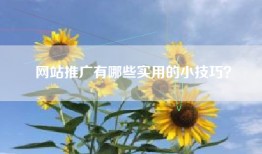 网站推广有哪些实用的小技巧？