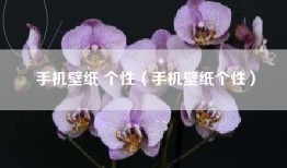 手机壁纸 个性（手机壁纸个性）