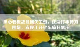 黑心老板故意拖欠工资，还雇打手持刀围堵，农民工开铲车疯狂碾压