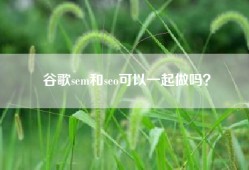 谷歌sem和seo可以一起做吗？