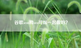 谷歌sem和seo可以一起做吗？