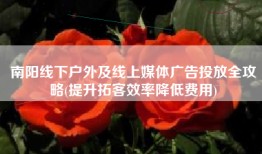 南阳线下户外及线上媒体广告投放全攻略(提升拓客效率降低费用)
