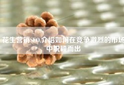 花生营销SEO,介绍如何在竞争激烈的市场中脱颖而出