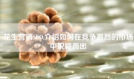 花生营销SEO,介绍如何在竞争激烈的市场中脱颖而出