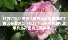 目前可拆卸电池手机最高配置是哪款手机诺基亚哪款手机好「目前可拆卸电池手机最高配置是哪款手机」