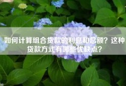 如何计算组合贷款的利息和总额？这种贷款方式有哪些优缺点？