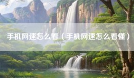 手机网速怎么看（手机网速怎么看懂）