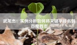 武龙杰：实例分析如何将关键字排名到百度首页