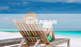 站长工具的介绍