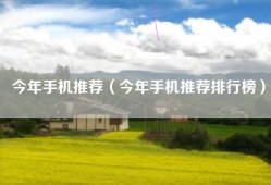今年手机推荐（今年手机推荐排行榜）