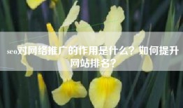 seo对网络推广的作用是什么？如何提升网站排名？