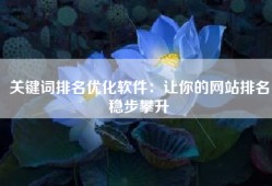 关键词排名优化软件：让你的网站排名稳步攀升