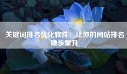 关键词排名优化软件：让你的网站排名稳步攀升