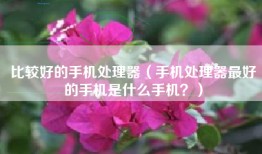 比较好的手机处理器（手机处理器最好的手机是什么手机？）