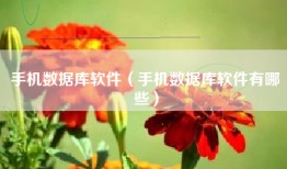 手机数据库软件（手机数据库软件有哪些）
