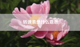 转速表是什么意思
