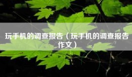 玩手机的调查报告（玩手机的调查报告作文）