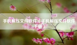 手机解压文件软件（手机解压文件软件下载）