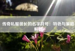 传奇私服很长的名字符号：特色与策略解析
