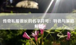 传奇私服很长的名字符号：特色与策略解析
