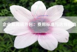 企业新闻稿外包：费用标准与选择指南
