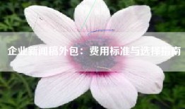 企业新闻稿外包：费用标准与选择指南