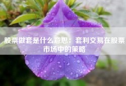 股票做套是什么意思：套利交易在股票市场中的策略